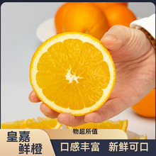 秭归脐橙纽荷尔产地直供出口餐饮水果店专供新鲜水果橙子当季现摘