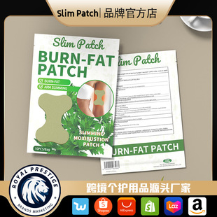 Burn-Fat Arm Slimming �羳���Q�ֱ��w�ˑ������ΰ��ݜ؟�ů�N