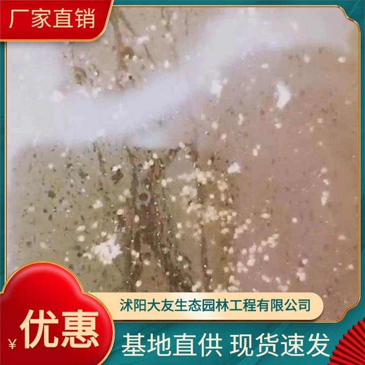 На базе продаются водорослеядные насекомые Daphnia Magna и большое количество зоопланктона из отличной борьбы с водорослями Daphnia Magna.