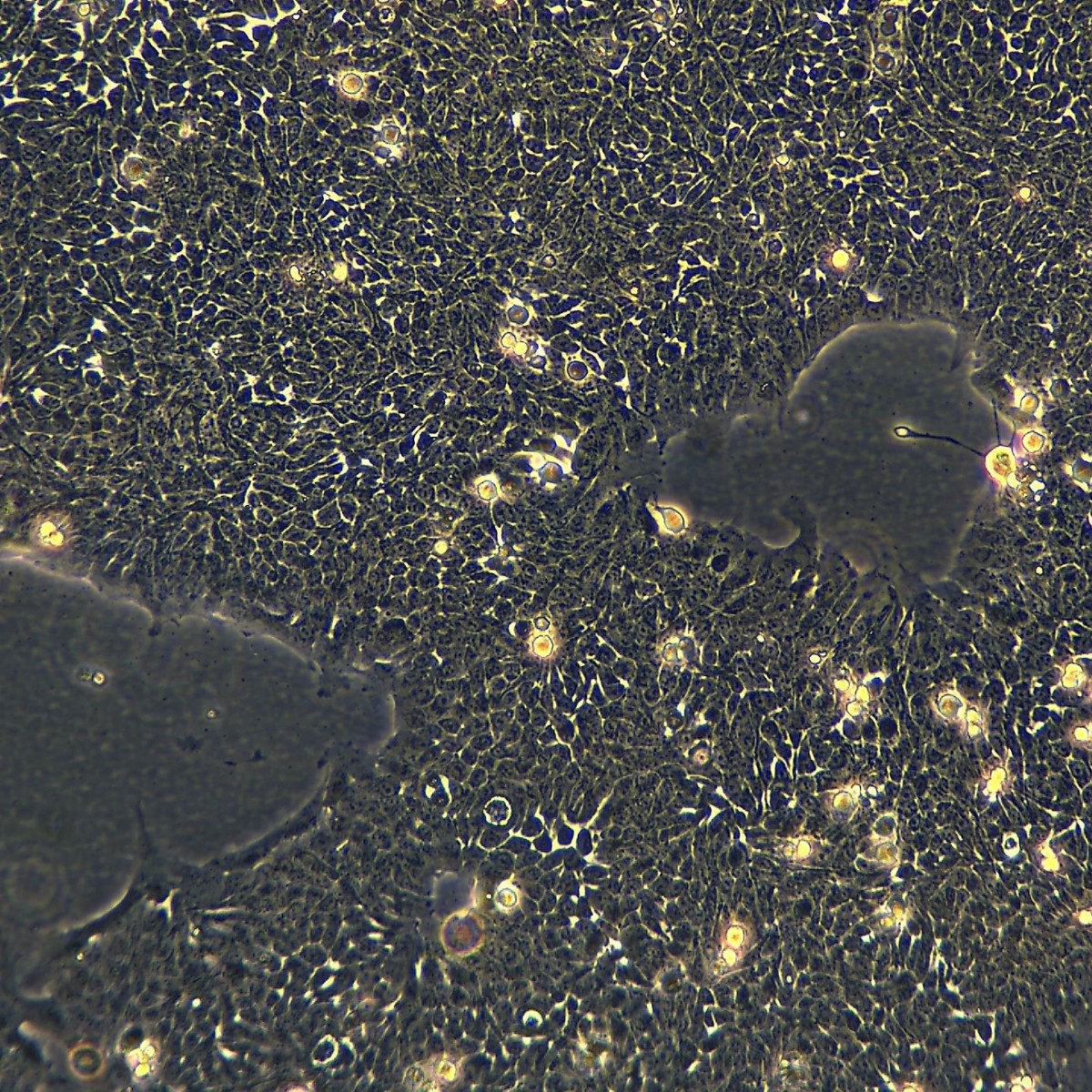 2025-11-05 16:22:32.jpg