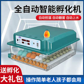 【厂家直供】家用孵化器鸡鸭鹅鸽子蛋孵化箱全自动家用小型孵化机
