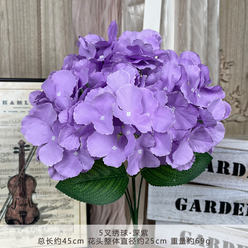 5갈래 수국-짙은 보라색