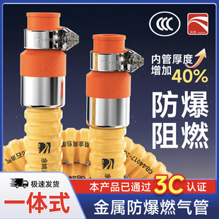 Dropshipping New National Standard 3C Certified Natural Gas Stove Gas Tank Hose Liquefied Gas Metal High-Pressure Explosion-Proof