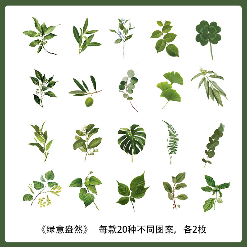 Plantas y flores materiales pegatinas artísticas decoración collage chica Goku tarjeta taza de agua caja de teléfono móvil diy personalizado