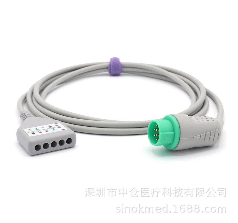 兼容宝莱特5导DN主电缆\欧美标通用