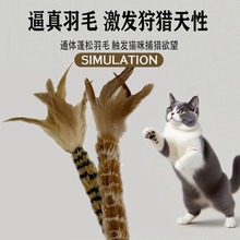 ë؈ľs̖߁RdNSl؈F؛