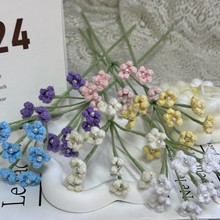 ᘿ����M����ë����֦���黨���˹��Y�ﻨ��õ��zӰ���߷��滨