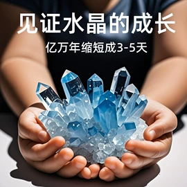 文具套装;盆栽;积木类