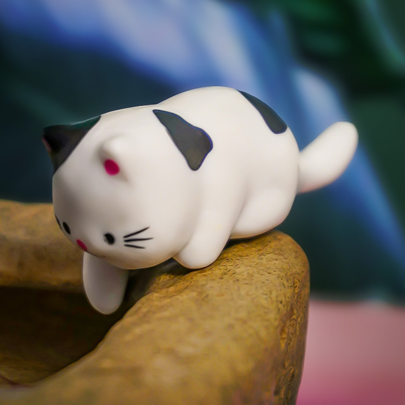 Kitten durmiendo decoración pecera paisaje maullido jugando agua buen tiempo ocio meow ronquido captura de peces gato colgando decoraciones