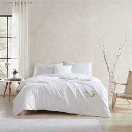 博-洋(BEYOND-KIDS)亲肤柔绵大豆纤维四季被 BYXW223-1000