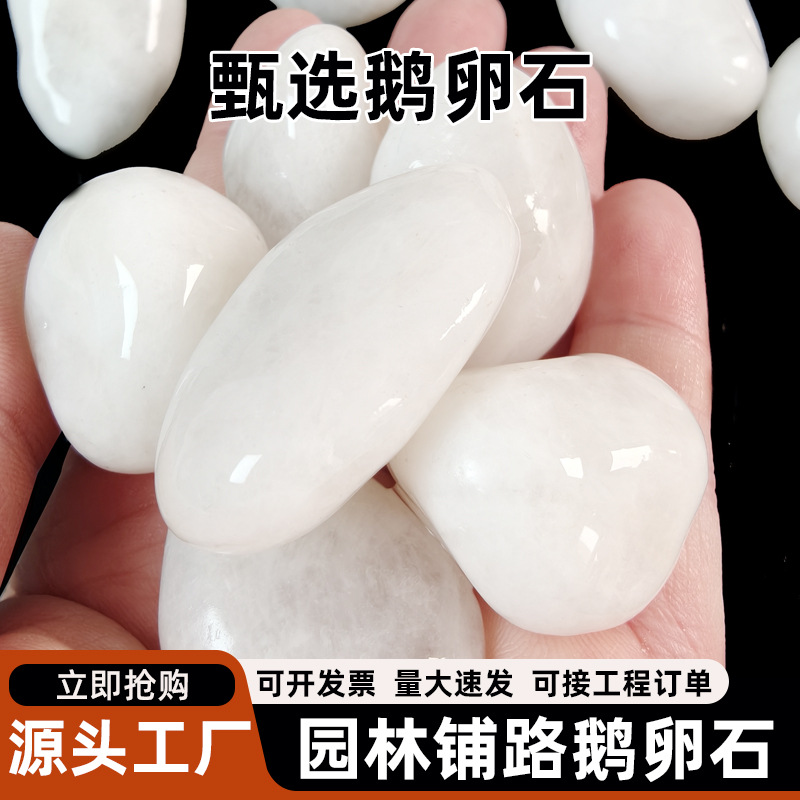 白色抛光鹅卵石白色雨花石工程路面铺设用彩色雨花石庭院园林造景