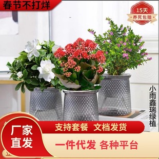 һ�����l�d�ӻ��L�ۻ��M�������Ի����҃ȿ͏d���������辰���B��