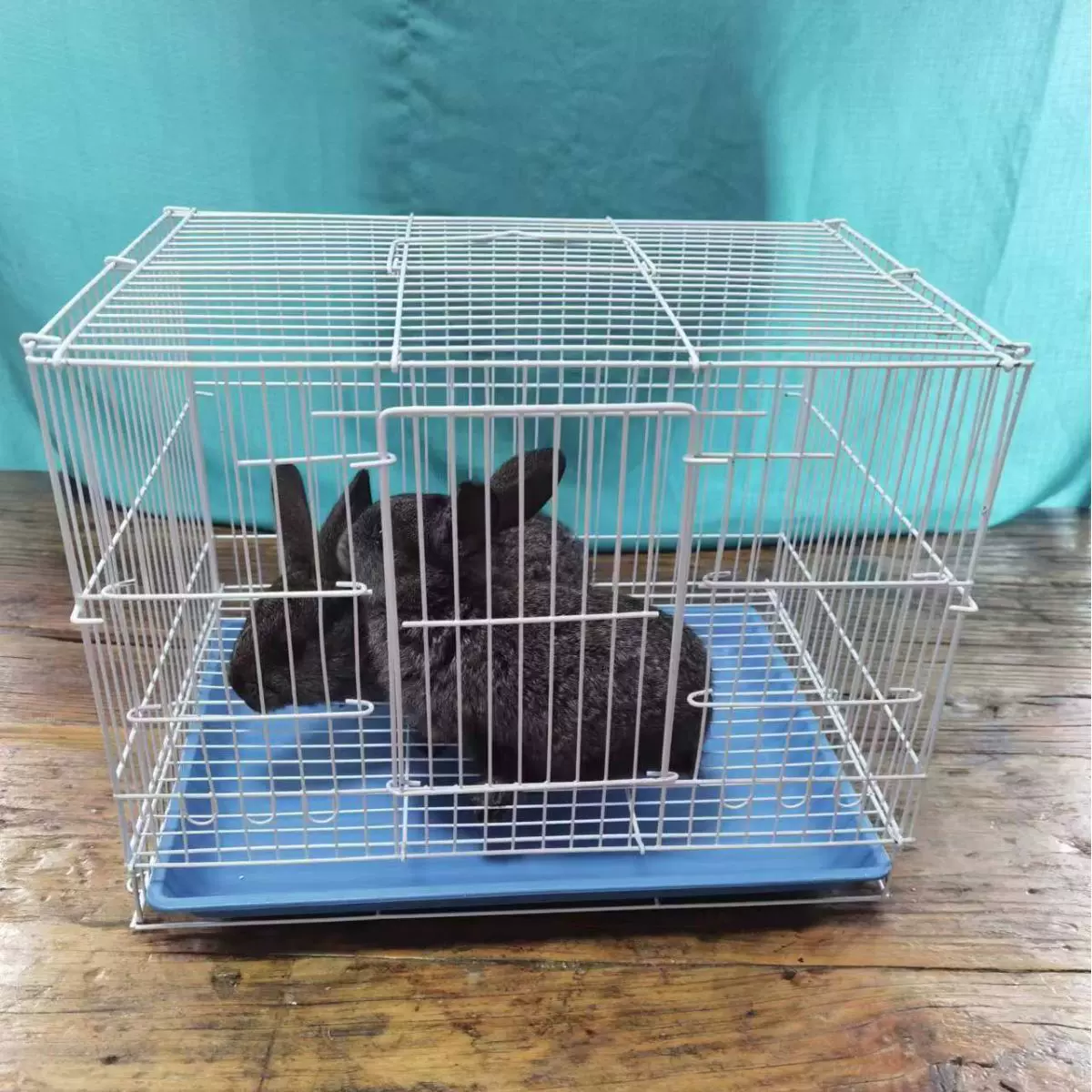 兔子笼家用中小号幼兔小兔笼荷兰猪笼小鼠笼龙猫笼室内带厕所兔笼