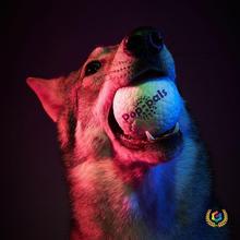 ✅Gigwi宠物玩具网球狗狗毛绒响纸发声磨牙鹿角狗玩具宠物用