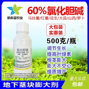 60%�Ȼ�đ�| ���������t���R�������ș�ĵ��¸��o������{����