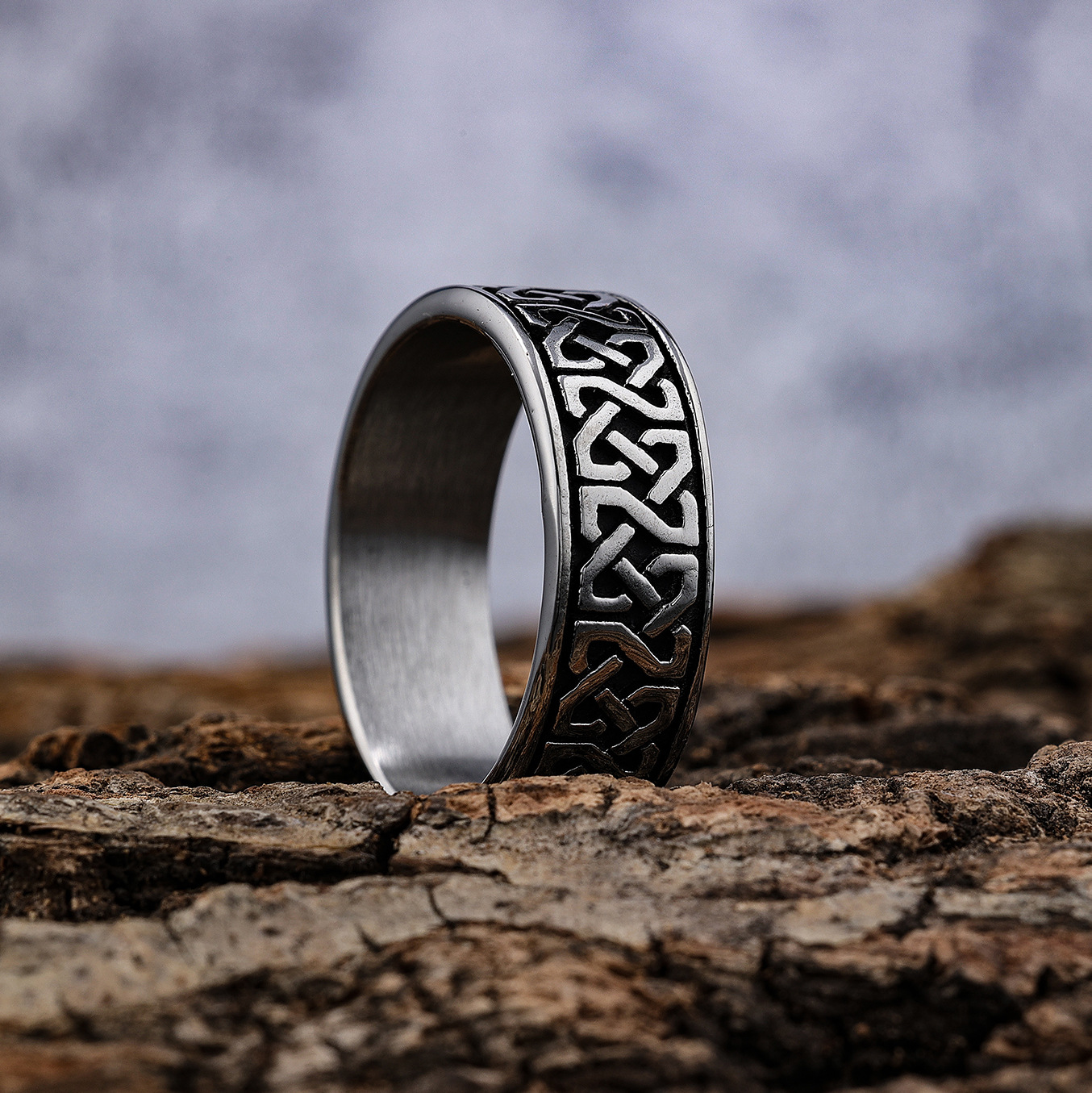 ring stainless steel