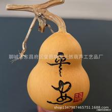 �w�S�����l ������J ������� ��ˇƷ ��ȻС���J�[��  �ְѼ�