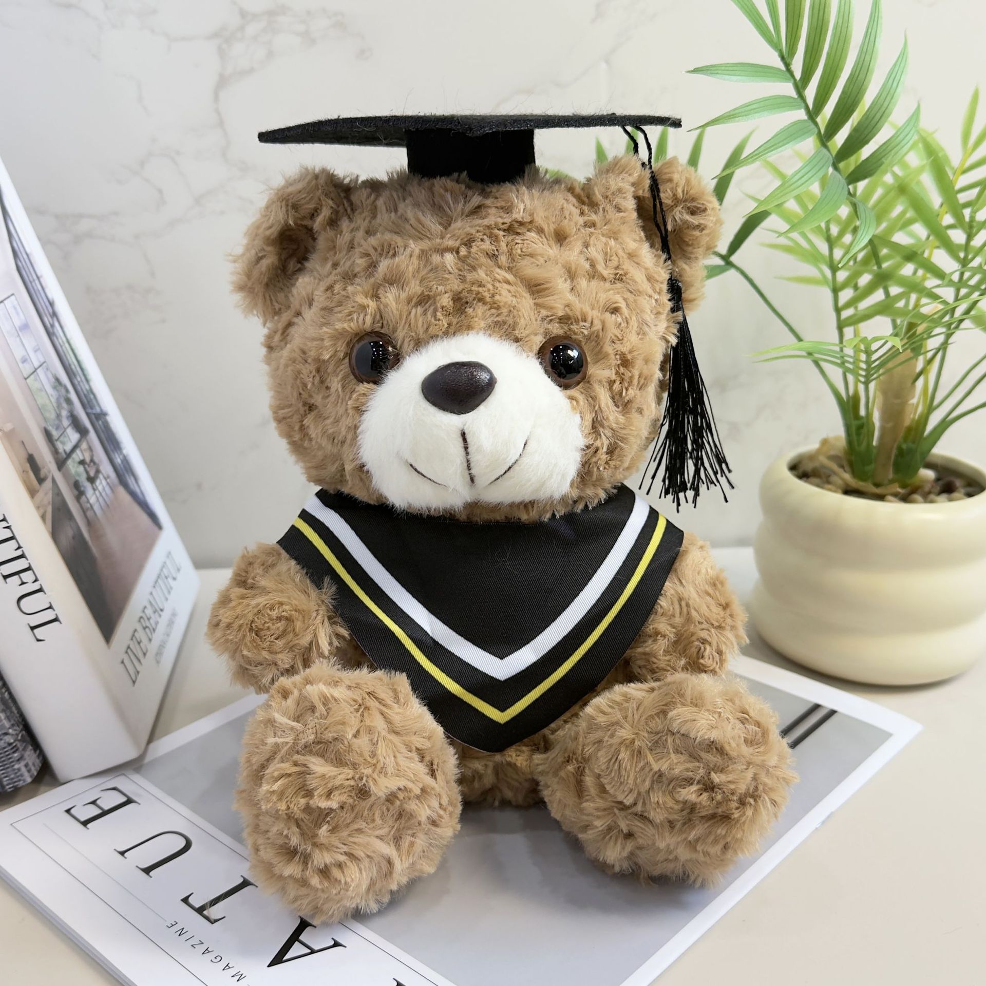 Doctor sombrero oso Teddy Teddy