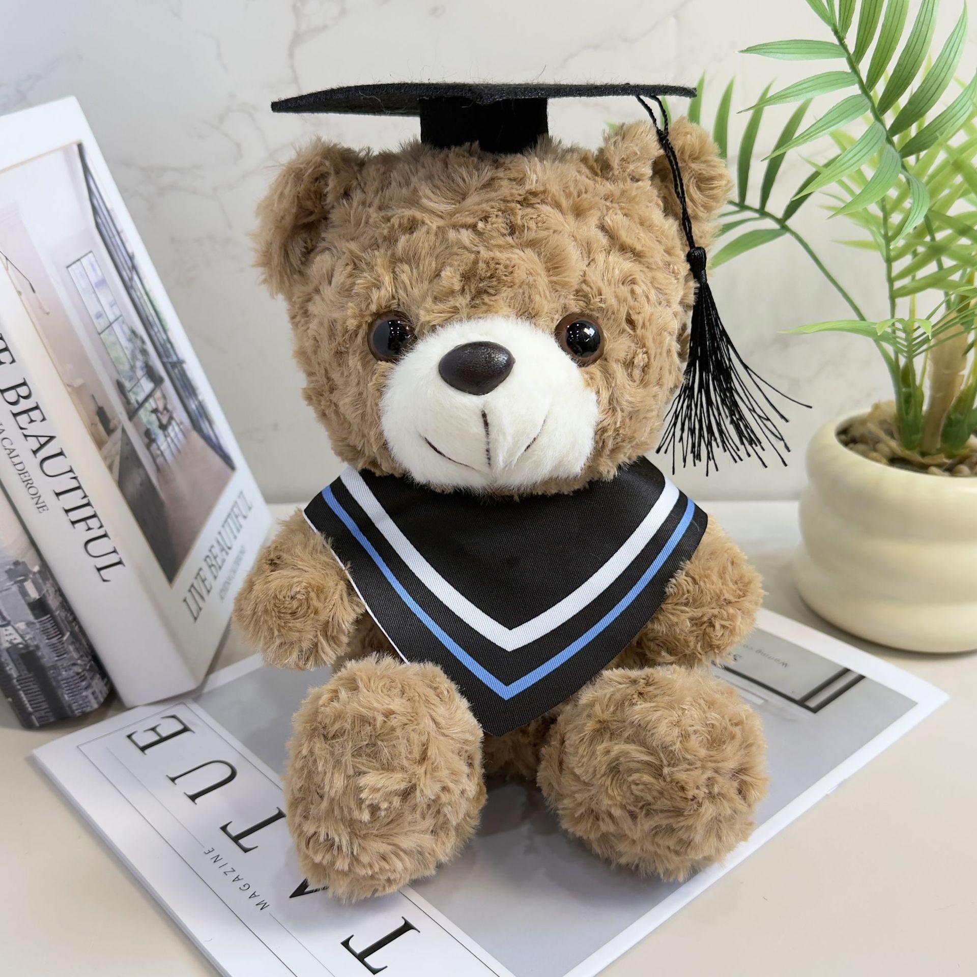 Doctor sombrero oso Teddy Teddy