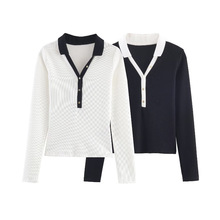 W2025ﶬ¿seײɫp淭IᘿëŮʿ