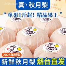 ���]��̨�R��������摪��ˮ�����rˮ��������]�ϙ�������������