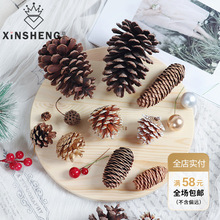 松果系列松塔花环装饰干花幼儿园创意手工diy材料摆件干花装饰