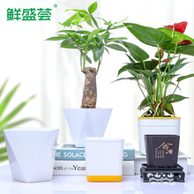 lؔ仨豱WLQy˻ԄˮľGֲˮڗd