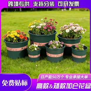 �Ӻ�������Ӂ����ش�̖�߿�ֿ�G�}�¼���ݮ�����������ϻ���