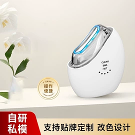 电子美容仪;面罩美容仪;生发仪、护发仪
