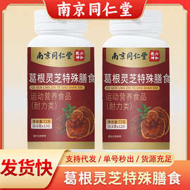 南京同仁堂葛根灵芝片瓶装72克运动营养特殊膳食厂家代发葛根灵芝