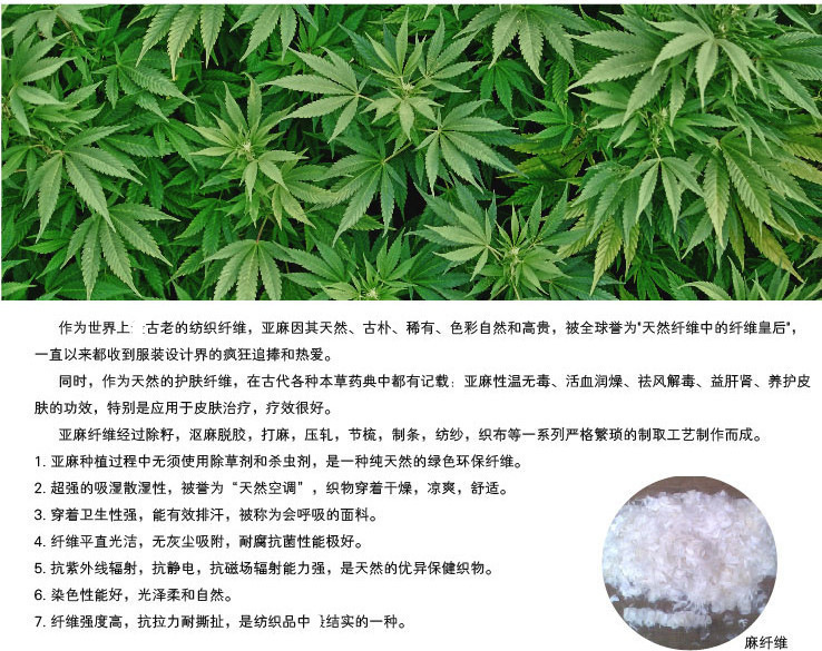 8536951504_2105228526