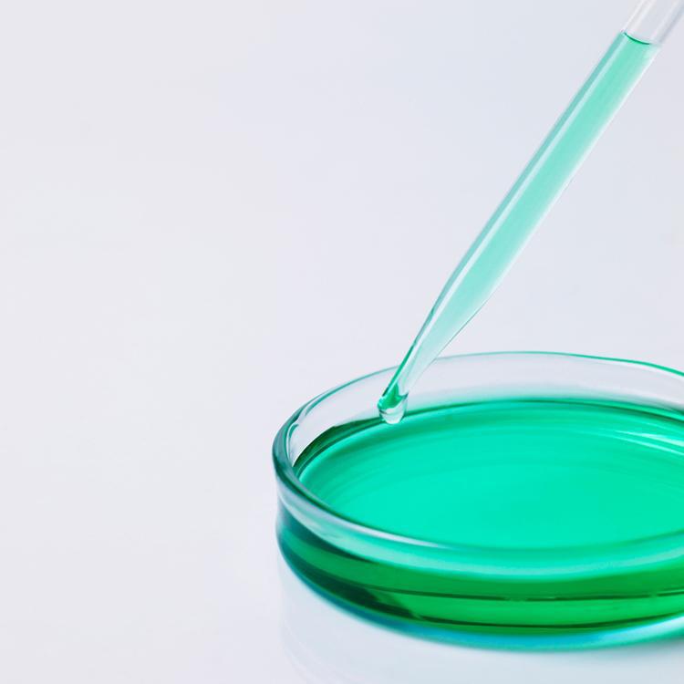 Suministro de vasos de vidrio Placa de Petri Cuantificativa Placa de vidrio soldada Placa de Petri Placa de cultivo celular Placa de laboratorio