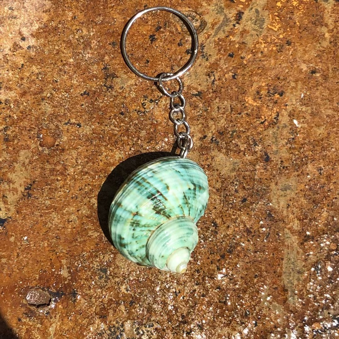 녹색 달팽이 열쇠고리