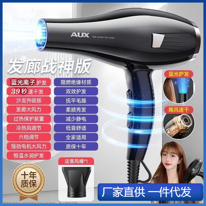 Oaks Hair Dryer for Home Use with Strong Wind, Negative Ion Hair Care, High-Power Hair Dryer for Barbershop
