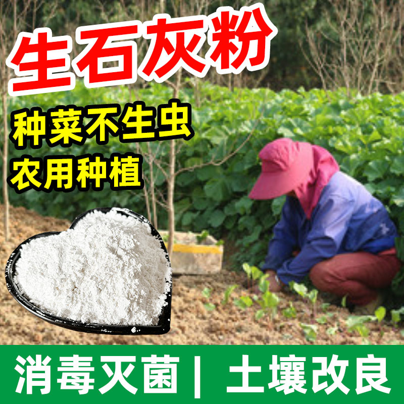 种菜杀虫生石灰粉水产养殖农用土壤改善鱼塘用消毒杀菌生石灰高纯