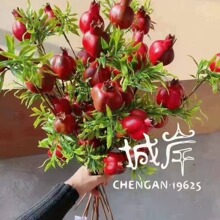 4���ʯ�񣬷���ʯ��S���Ԯa���N�}�Q���긣Ͱϵ��