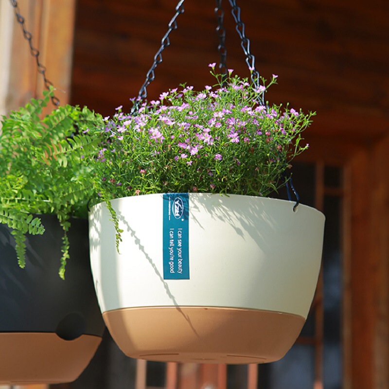 2026 Model Hanging Orchid Flower Pot, Wall-Mounted Hanging Basket for Green Plants and Ivy, Large Size, in Stock 2026 Model Hanging Orchid Flower Pot, Wall-Mounted Hanging Basket for Green Plants and Ivy, Large Size, in Stock