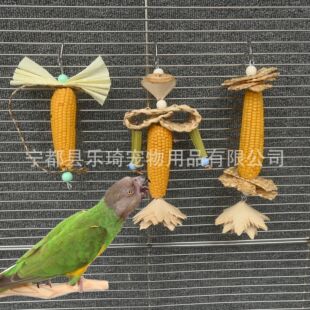 �F؛�W�^�B��� ��Ȼ���װ���ҧ�� �B�\ĥ���␞������Ʒ�羳���l