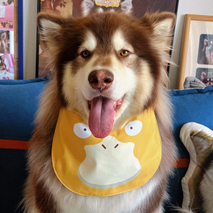 Up to Duck Duck Pet Cute Salix Towel Double-sided Wearable Thickened Adjustable Bib for Medium and Large Dogs and Cats