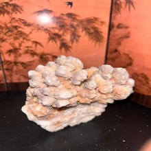 ƷϽYʯVﾧw̌W˱ʯ^ԭʯ[ղƷ^pʯ