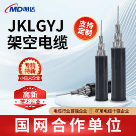 定制JKLYJ/JKLGYJ架空绝缘电缆1芯3芯50/150/240/600平方架空电缆