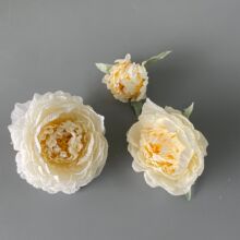 ����ĵ�������^DIYСĵ��������С���L�h���^������û��b�ˇ