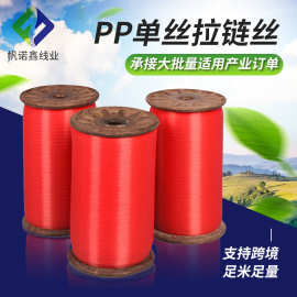 厂家供应 PE圆丝。聚乙烯单丝