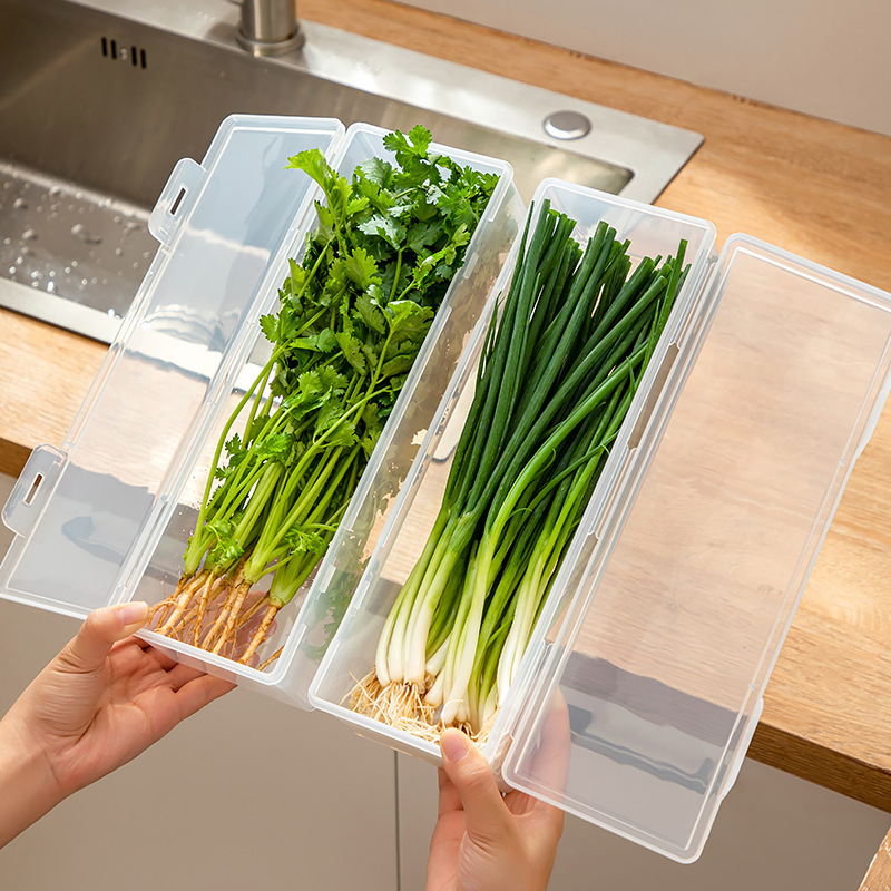 ネギ香菜専用鮮度保持箱冷蔵庫水切り収納箱長条食品級整理神器密封箱|undefined