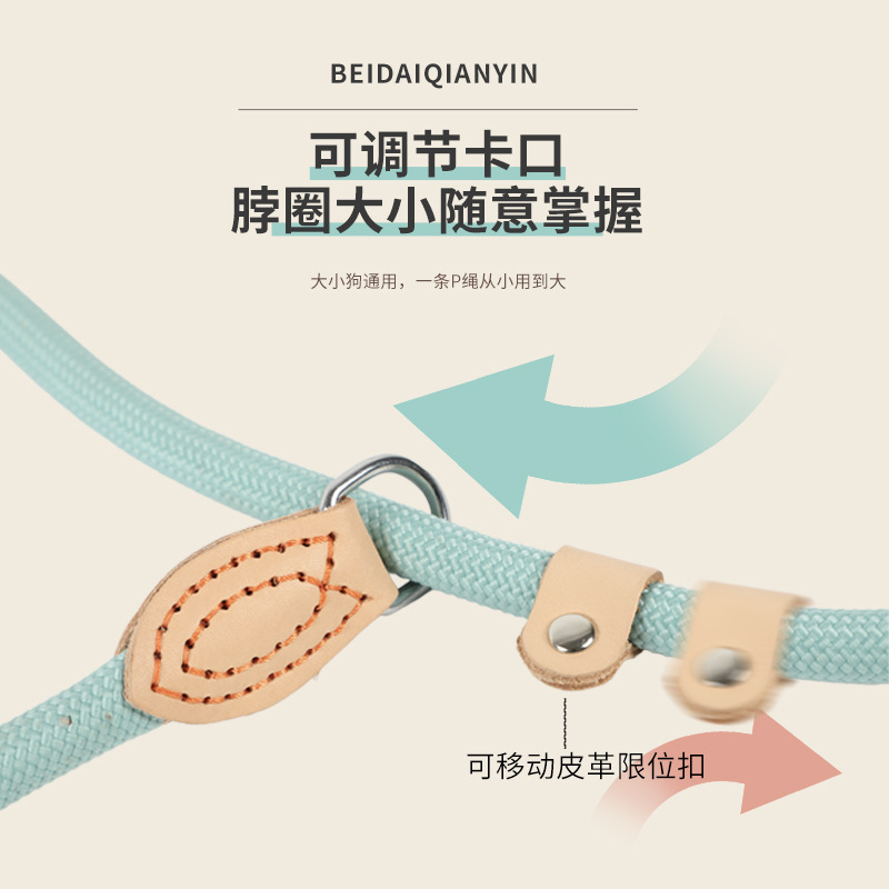 Corda de tracción de perros corda de perros corda de perros a prueba de explosiones de tamaño medio cadena de estampado anti-desprendimiento artículos de mascotas al por mayor transfronterizos