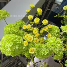 �¿�336Ƭ����������滨��������쾰����廨 ����������װ����