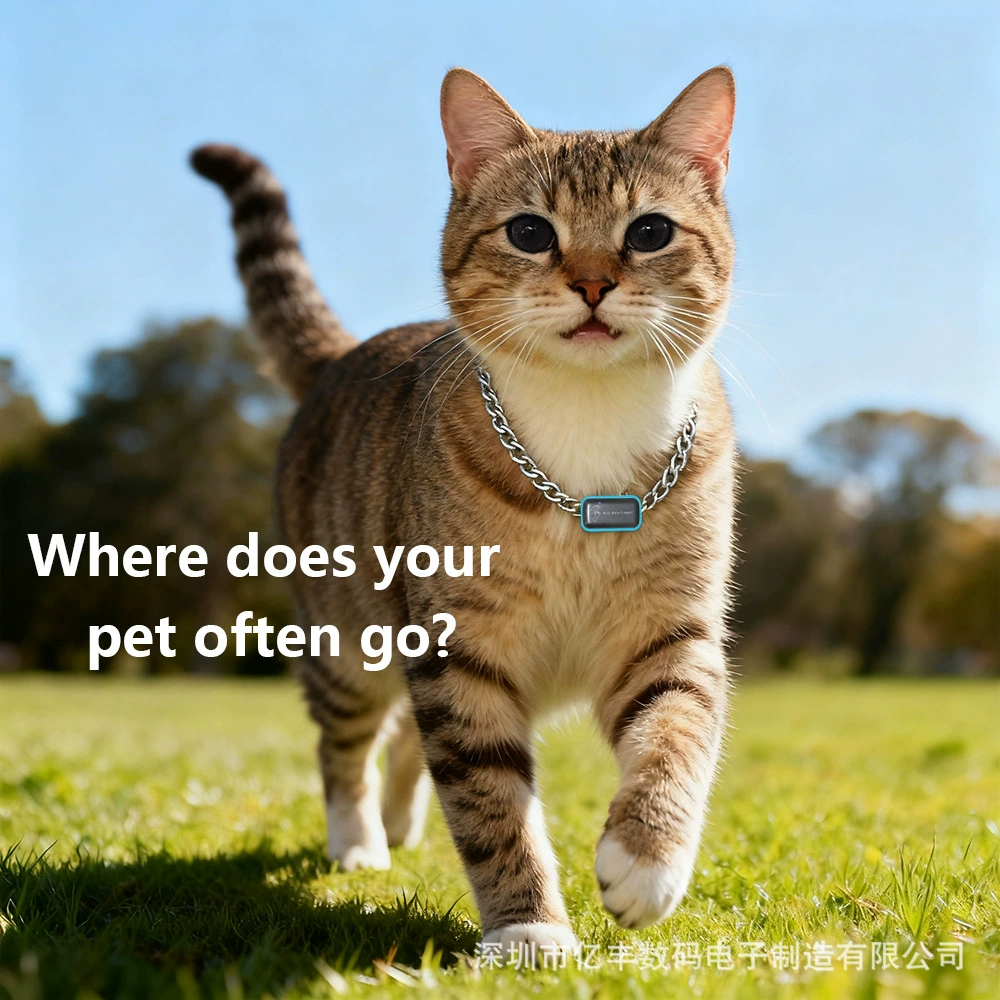 GPS Трековый рекордер открытый дорожный Трековый рекордер трек для домашних животных исследовательский артефакт