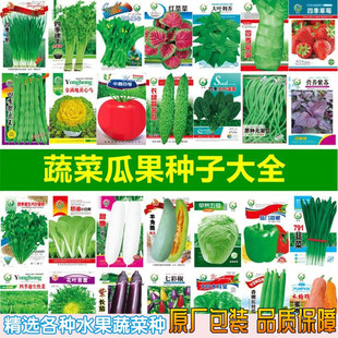 һ�����l�߲˷N���ļ��������̨ͥԺ������������S�϶���������