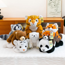 �¿�ſſ�ɐ�С��؈ë�q���Є�����ż��ܱ���ë�q��߶Y�����l