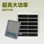 大功率感应室外定制庭院灯